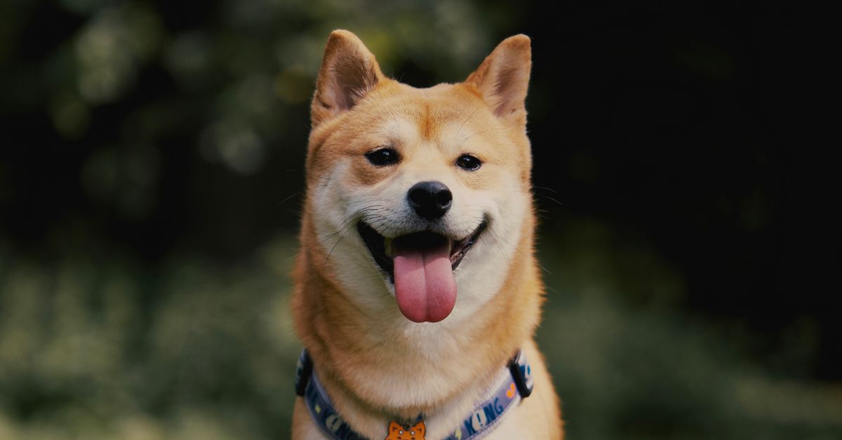 Kupovina eSIM-a pomoću Dogecoina (DOGE): plaćanje korak po korak