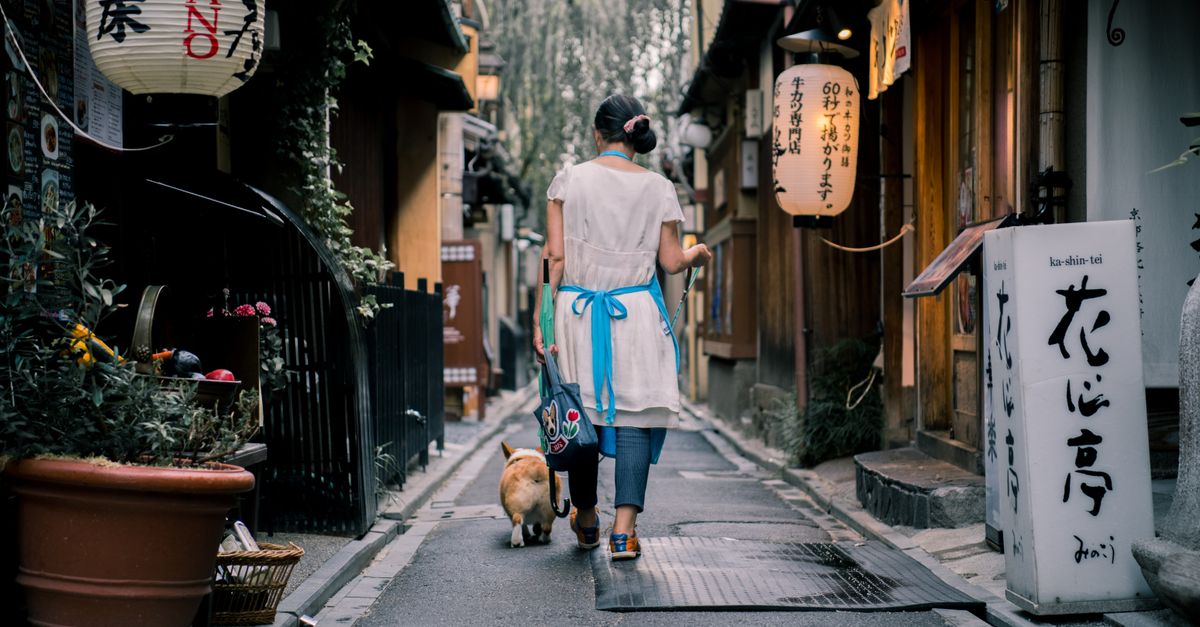 شراء eSIM بعملة Shiba Inu (SHIB): الشبكة والرسوم والمبلغ المحدد