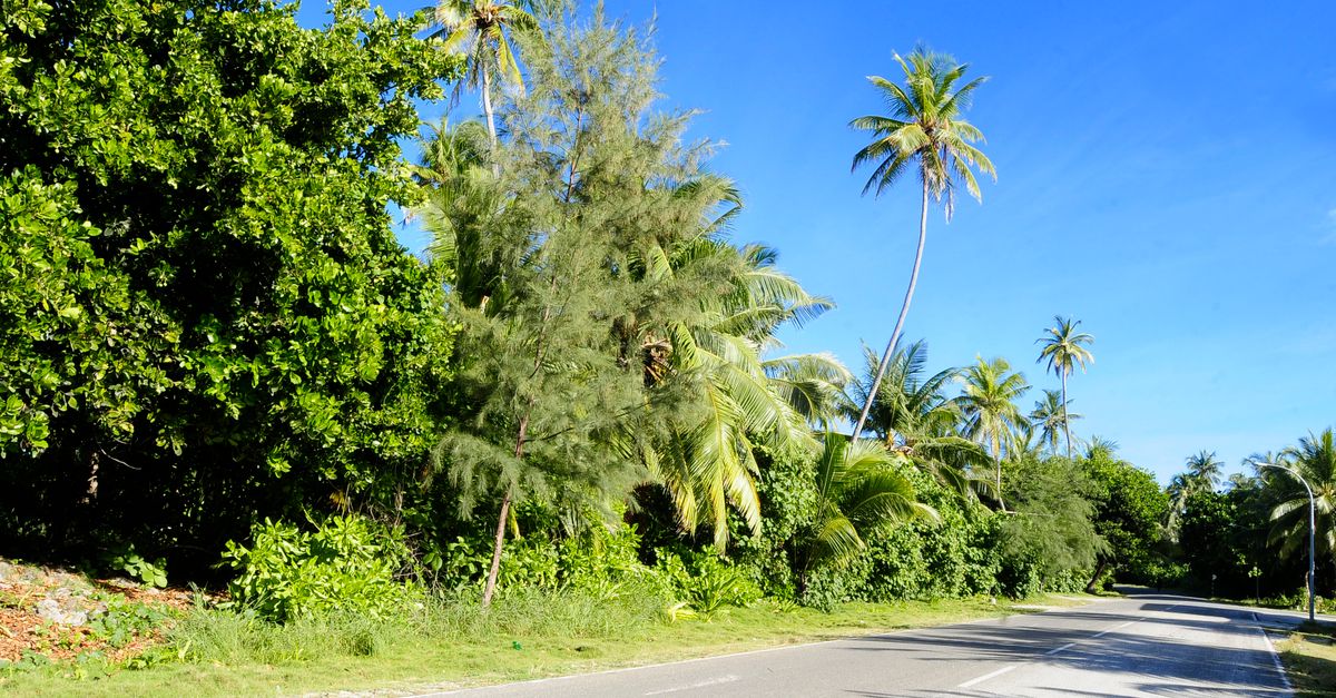 মালদ্বীপে চলাচল: ফেরি, সিপ্লেন ও স্পিডবোট