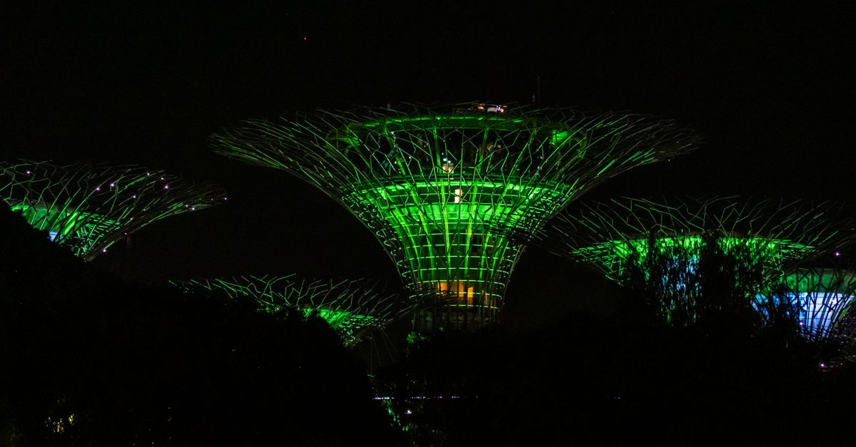 Top Things to Do and See in Singapore