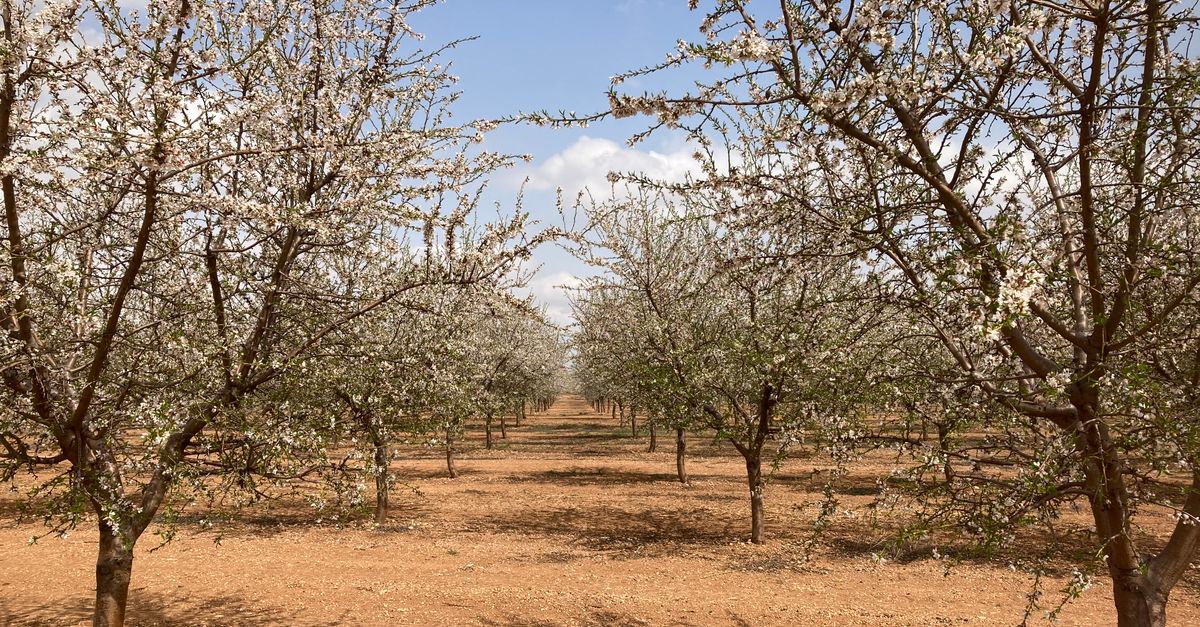 The Best Time to Visit Spain: A Season-by-Season Guide