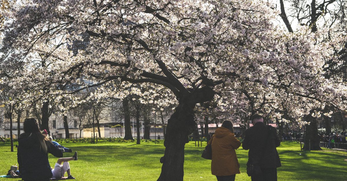 The Best Time to Visit the United Kingdom: A Season-by-Season Guide