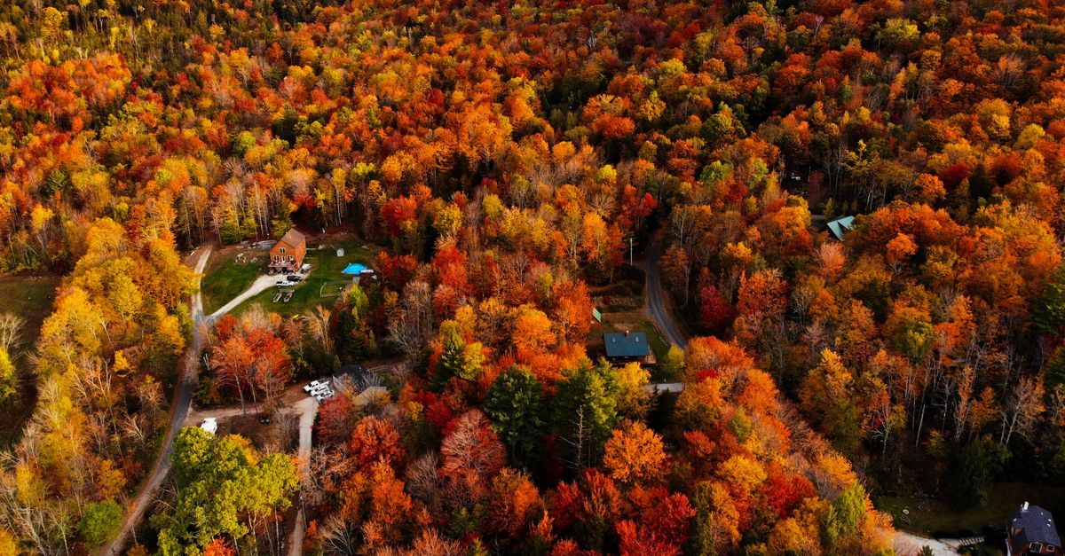 The Best Time to Visit the United States: A Season-by-Season Guide